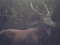 Fajny gif jest fajny