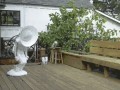Pixar