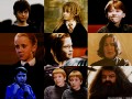 How they grow