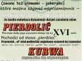 Polska języka