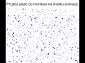Przyłóż pięść do monitora na środku animacji