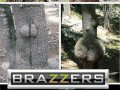 Brazzers