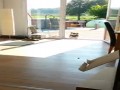 Pies myśli, że drzwi tarasowe są zamknięte