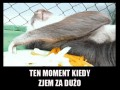 Ten momen1ffbt