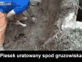 Na ratunek pieseł