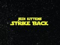 Kocie star wars