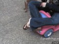 Crejzy dog