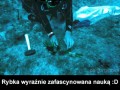 Science fish