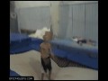 Wypadek na trampolinie