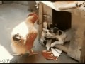 Give me a chicken