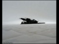 Kotek 3