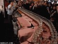 Domino shots