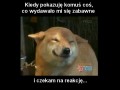 Kiedy pokazuję komuś coś zabawnego
