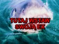 Wstaw tutaj swoją ex