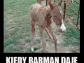 Kiedy barman daje mi