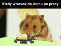 Po pracy