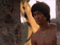 Bruce lee approved