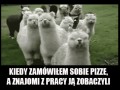Kiedy zamówiłem sobie pizzę