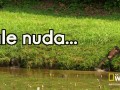 Nuda