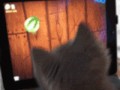 Gra