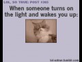 True 1