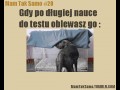 Mam tak samo 