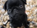 Cute 1