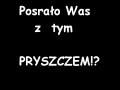 Pryszcz