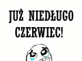 I wakacje