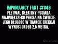 Płetwal zawstydził nawet czarnych 