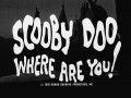 Scooby