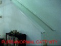 Cattivity