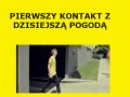 Pogoda