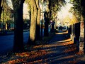 Gołdap