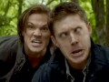 Supernaturals