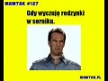 Rodzynki w serniku blee