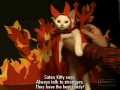 Kitty