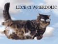 Lece ci wpierdolic