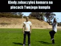 Komar