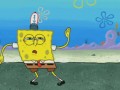 Sponge