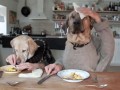 Omnomnom