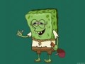 Buchbob