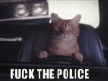 Fuck the police