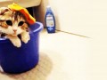 Aww 