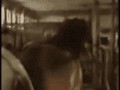 Horse jump fail d