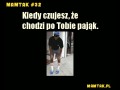 Gdy czujesz pająka