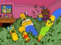 Kasa u simpsonów
