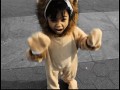 Lion king 