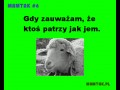 Gdy ktoś patrzy jak jem2000
