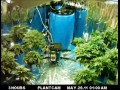 Marijuana